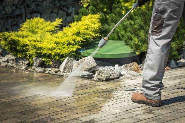 Animal Enclosure Cleaning in Centerville, OH